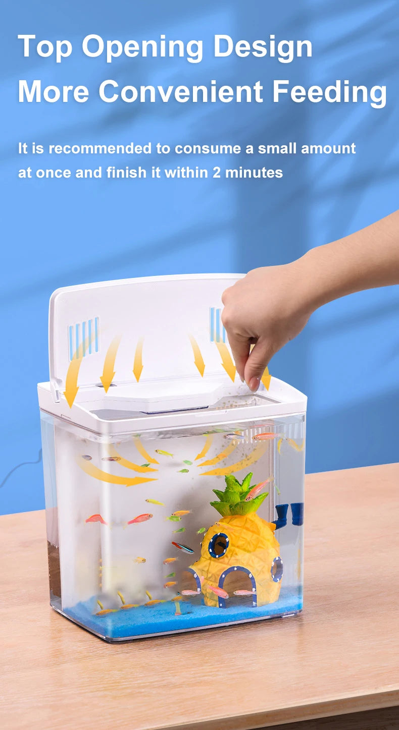Self Circulating Tabletop Fish Tank With Back Filter