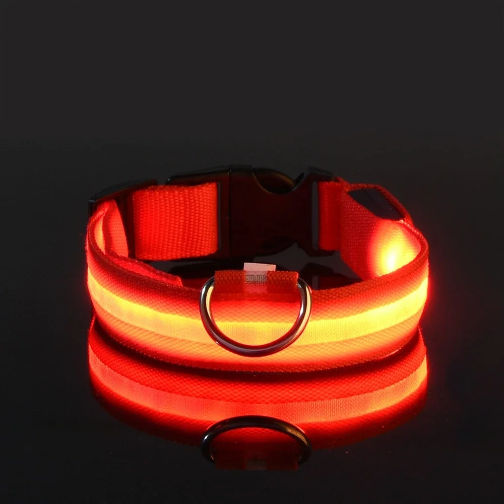 Dog Safety Nylon LED Fluorescent Collar