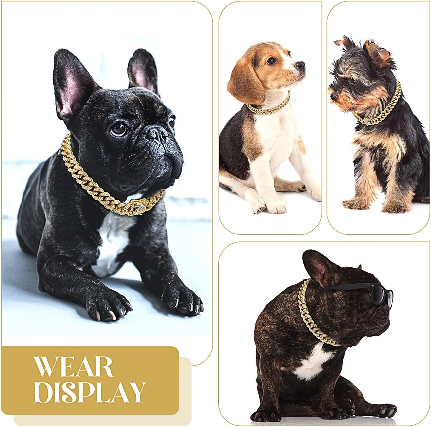 Luxury Gold/Silver/Rose Gold Cat & Dog Chain Collar