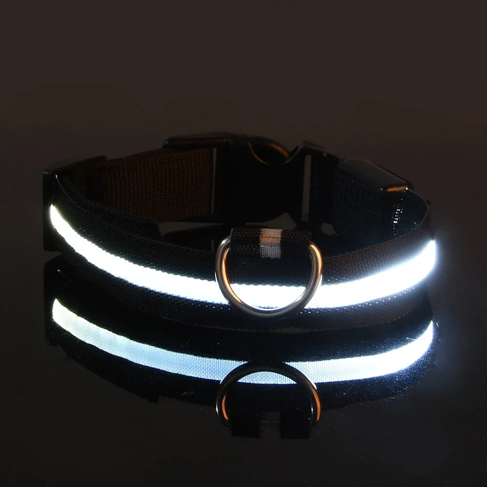 Dog Safety Nylon LED Fluorescent Collar