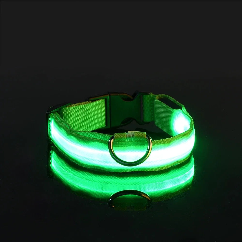 Dog Safety Nylon LED Fluorescent Collar