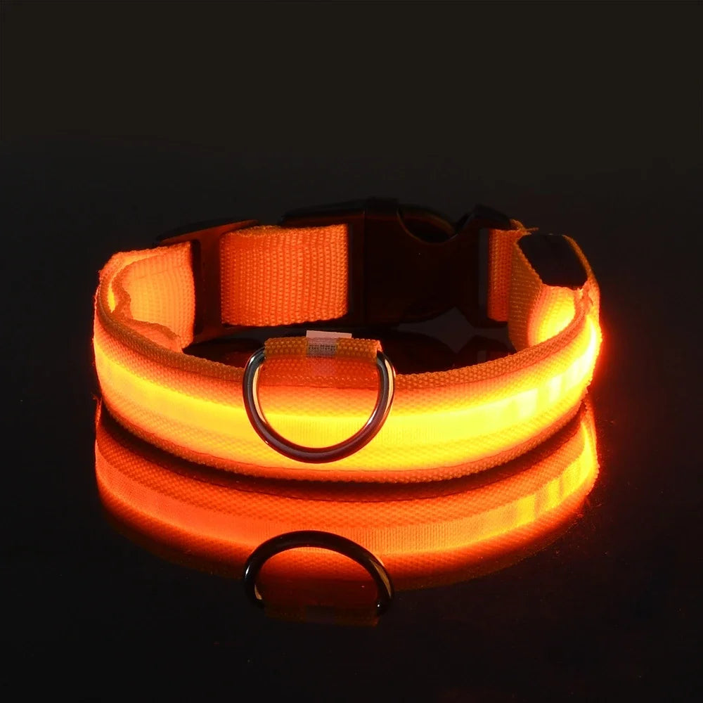 Dog Safety Nylon LED Fluorescent Collar