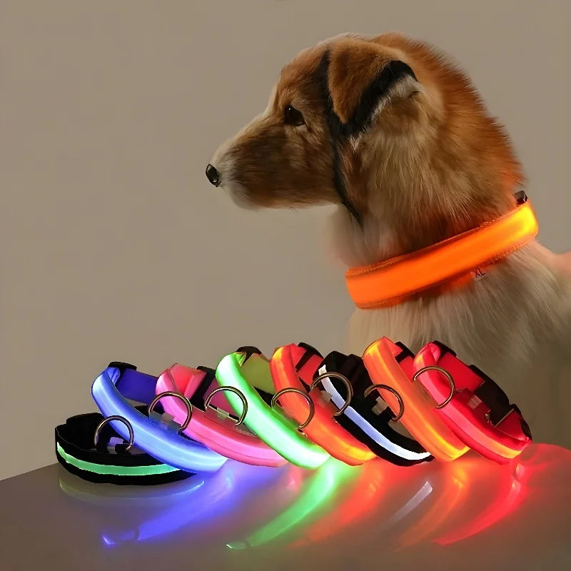 Dog Safety Nylon LED Fluorescent Collar