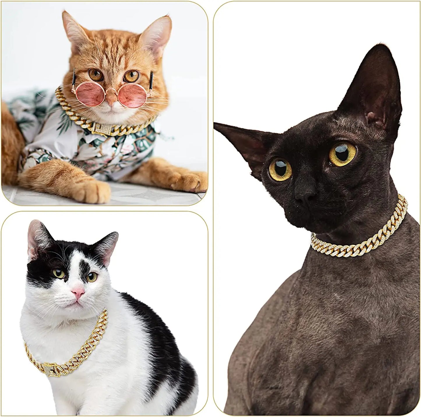 Luxury Gold/Silver/Rose Gold Cat & Dog Chain Collar