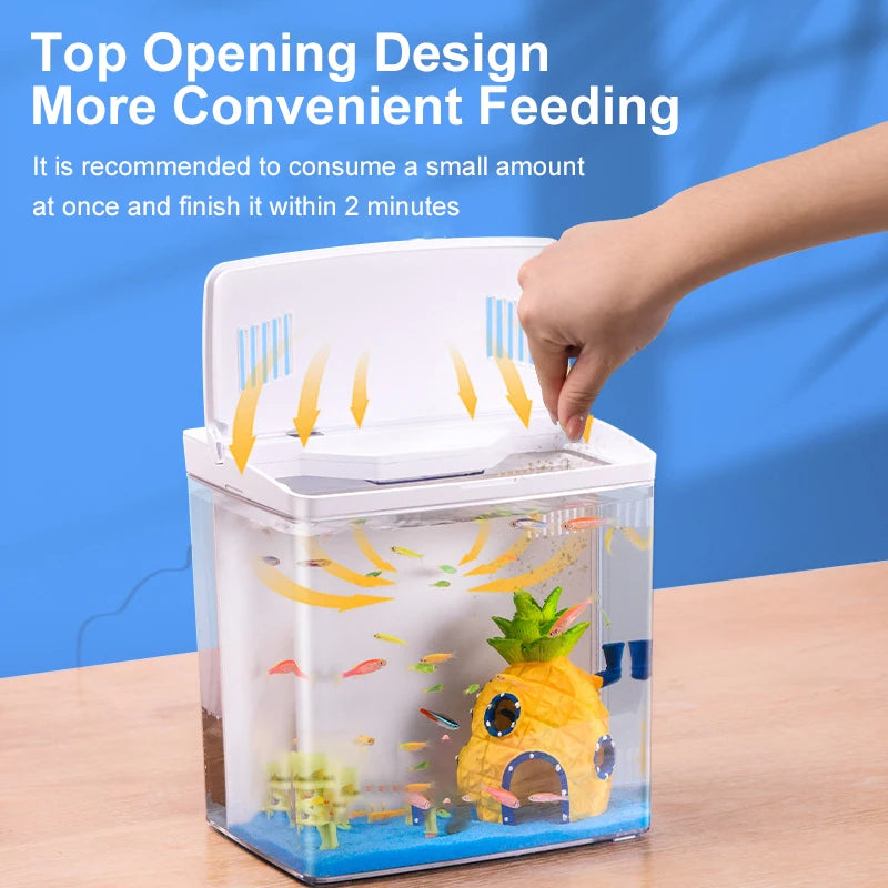 Self Circulating Tabletop Fish Tank With Back Filter