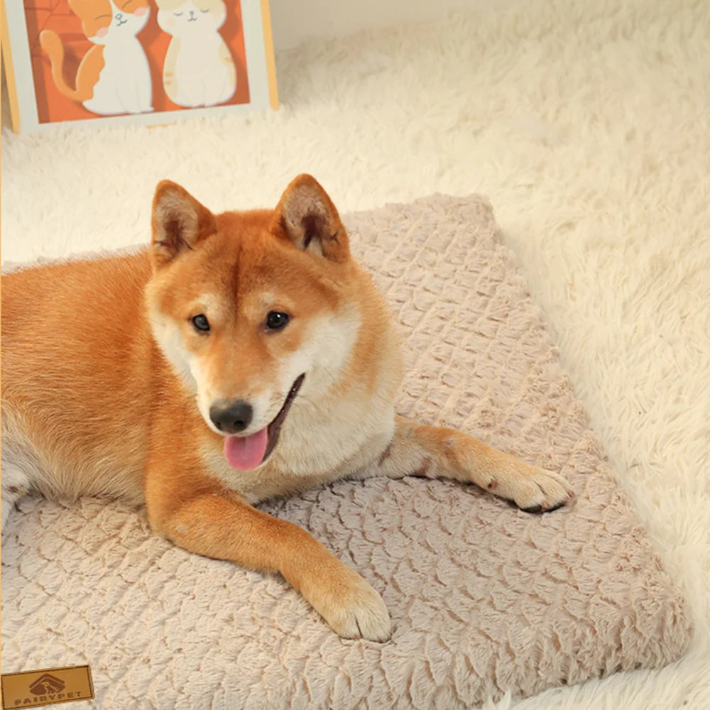 Orthopedic Waterproof Memory Foam Pet Bed With Removable Washable Cover