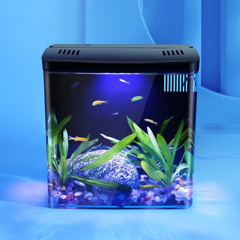 Self Circulating Tabletop Fish Tank With Back Filter