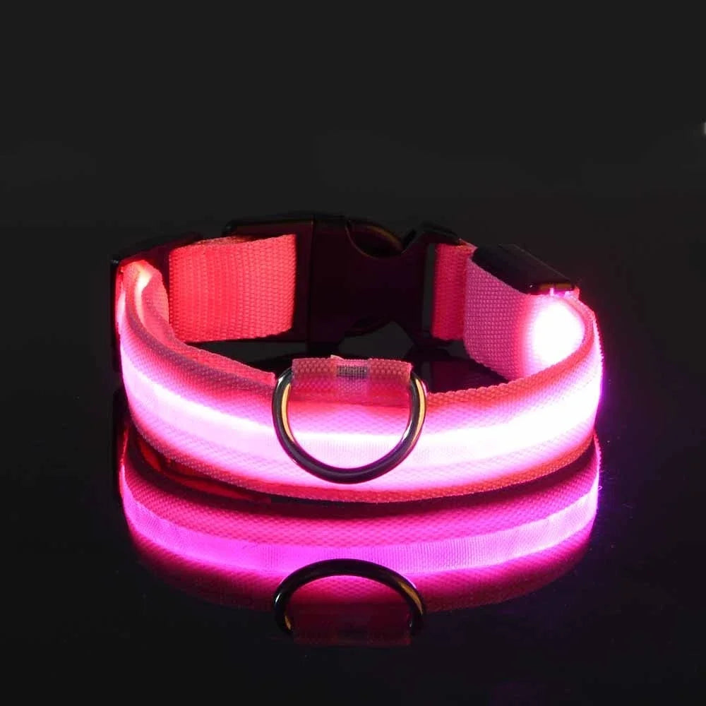 Dog Safety Nylon LED Fluorescent Collar