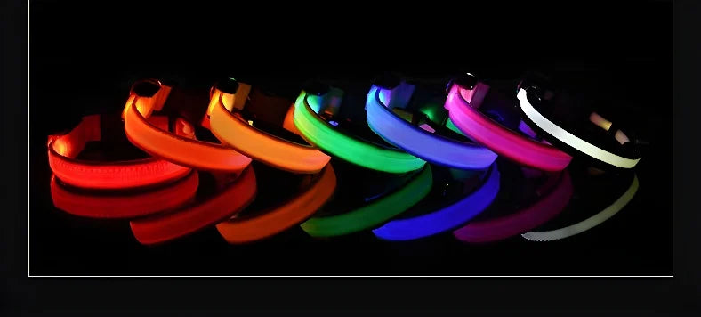 Dog Safety Nylon LED Fluorescent Collar