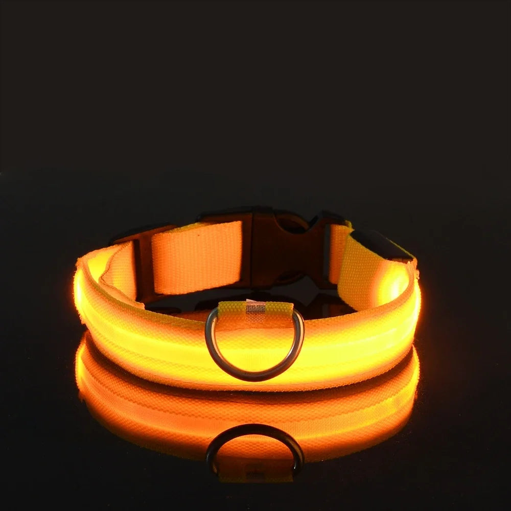 Dog Safety Nylon LED Fluorescent Collar